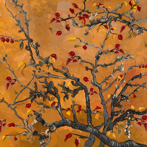 国产情侣在视频
